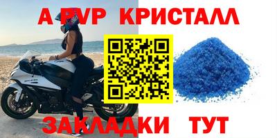 PSILOCYBIN Новодвинск