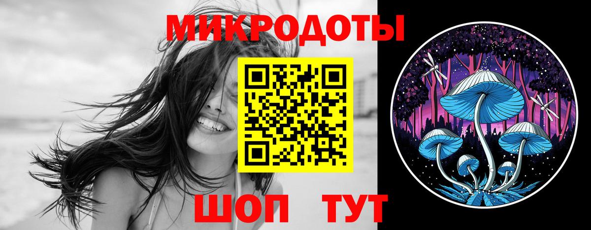 Псилоцибиновые грибы Psilocybine cubensis Трёхгорный