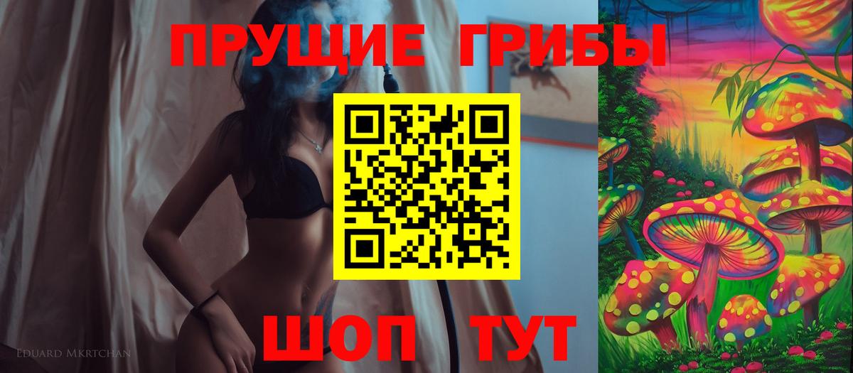 Псилоцибиновые грибы GOLDEN TEACHER  Вход с VPN  Галлюциногенные грибы Psilocybine cubensis  Трёхгорный 
