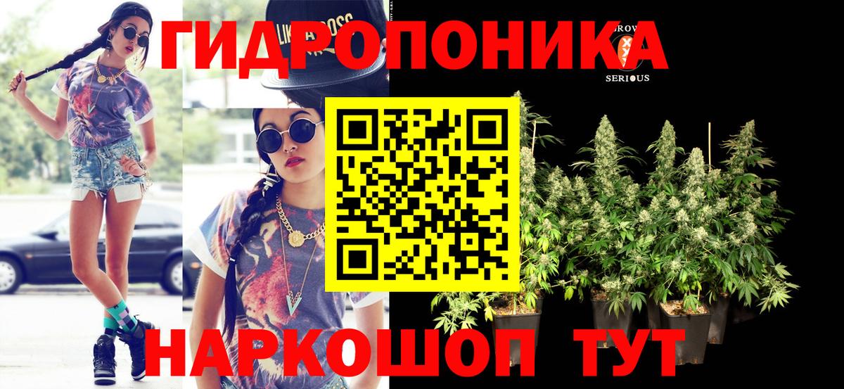 Шишки марихуана Bruce Banner  Вход с VPN  МАРИХУАНА AK-47  Бошки Шишки AK-47  Трёхгорный 